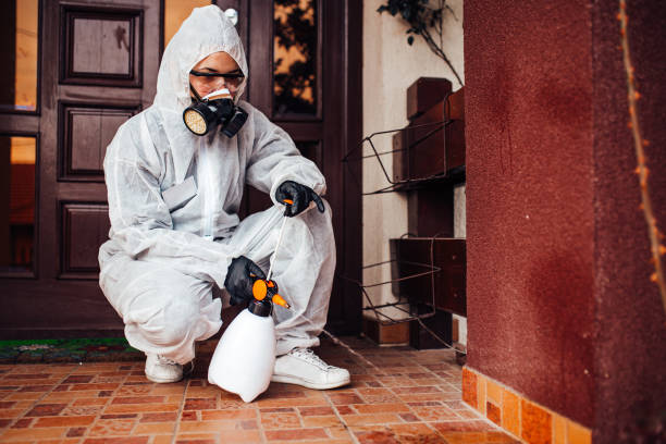 Attic and Crawl Space Rodent Treatment in Olla
